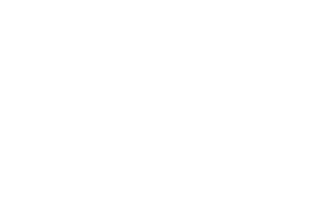 Meu Seguro Auto - Portfolio WLIB